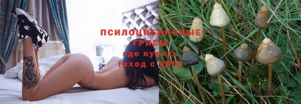 скорость Алексеевка