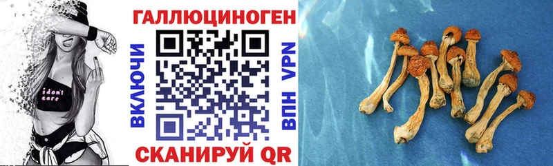 продажа наркотиков  Анадырь  Псилоцибиновые грибы прущие грибы 